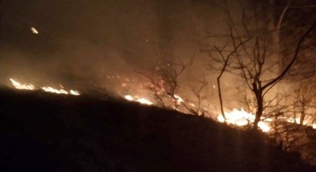 Osmaniyede çıkan orman yangını kontrol altına alındı