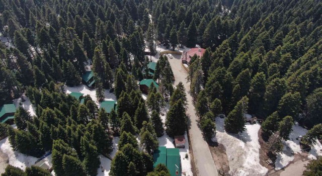 (Özel) Uludağın orman köşkleri bayram ve yaza hazır