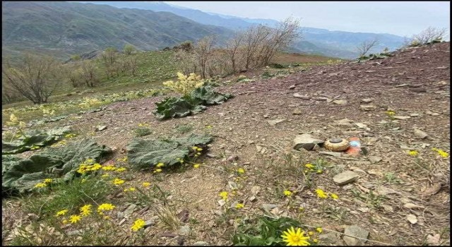 Pençe Kilit Operasyonunda 26 terörist etkisiz hale getirildi