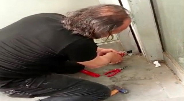 Pencere pervazında mahsur kalan serçe kurtarıldı