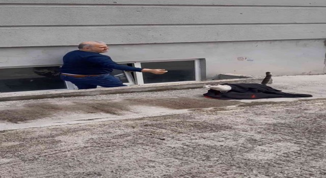 Pencereye sıkışan kedi kurtarıldı
