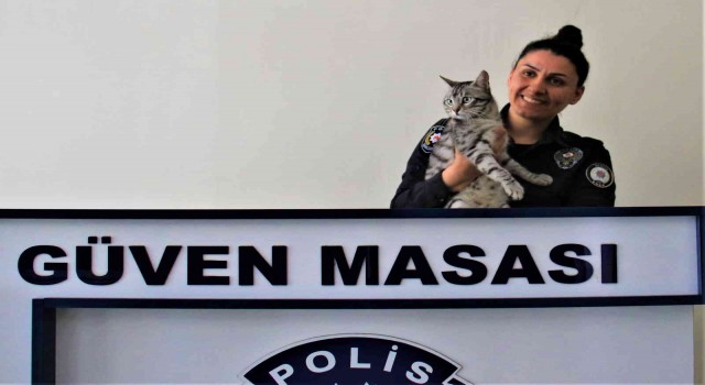 Polisin şefkati, kaza geçiren kediyi yaşama bağladı