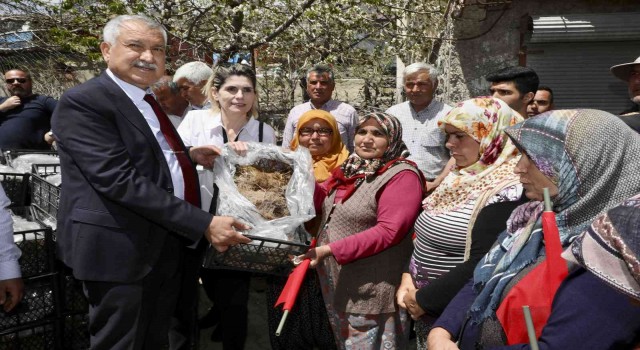 Pozantıda 1 milyon 200 çilek fidesi dağıtıldı