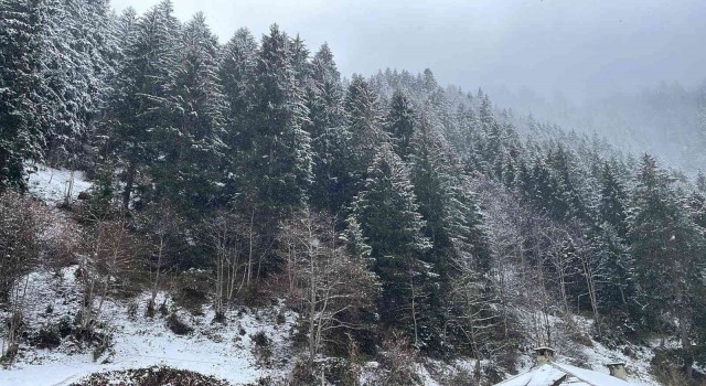 Rizenin yüksek kesimleri Nisan ayında beyaza büründü
