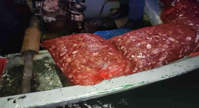 Sahil Güvenlik ekipleri, denize dalarak midye avcılığı yapanları suçüstü yakaladı
