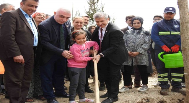 Şahinbeydeki boş arazi ormana dönüşüyor