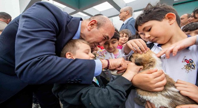 Sahipsiz dostlar İzmirde emin ellerde