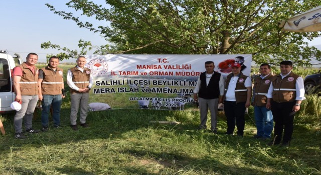 Salihlide ıslah edilen meralar kullanıma açıldı