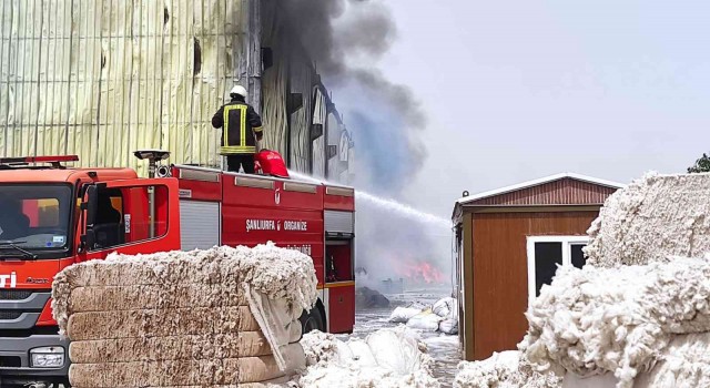 Şanlıurfada fabrika yangını