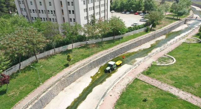 Şanlıurfada ilaçlama seferberliği