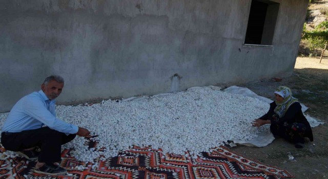 Sasonda ipek böceği geliştirme toplantısı