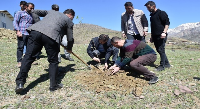 Sasonda ipek böcekçiliği geliştirme projesi dahilinde dut fidanı dikildi