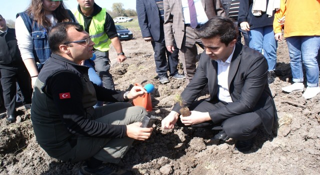 Şehit ve Gaziler için fidan dikildi