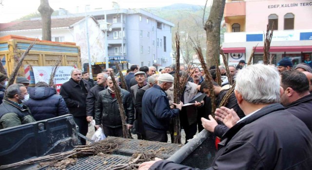 Selden etkilenen üreticilere arı kovanı ve ceviz fidanı dağıtıldı