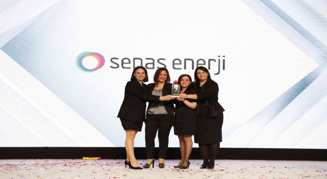 Sepaş Enerji ödüle layık görüldü