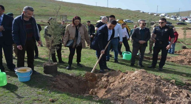 Siirtte şehit polisler anısına 177 fidan toprakla buluşturuldu