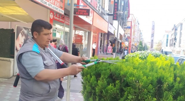 Sincanda ağaçlar budanıyor, çocuk oyun alanlarının gerekli bakımları yapılıyor