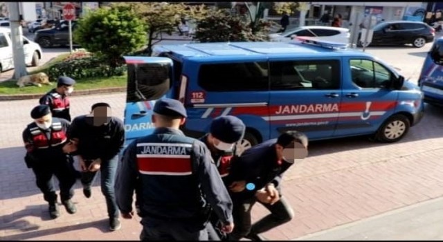 Sinopta jandarma hırsızlık şebekesini çökertti