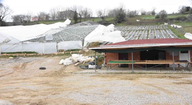 Sinopta şiddetli fırtınada çilek serası yıkıldı