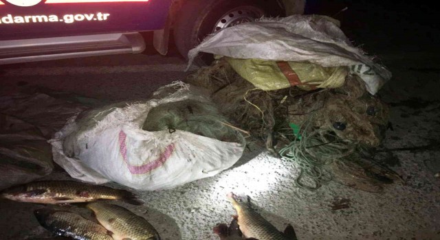 Sinopta yasak avcılık yapan iki şahıs 40 kilo sazanla yakalandı