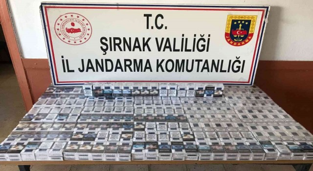 Şırnakta kaçakçılık ve asayiş operasyonu: 72 gözaltı