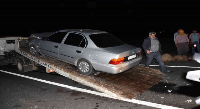 Siverekte otomobil koyun sürüne daldı, 12 koyun telef oldu