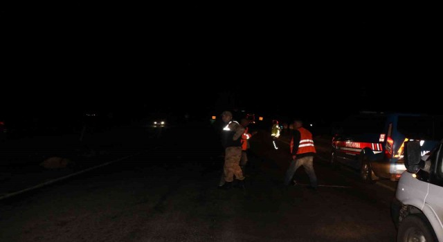 Siverekte tanker koyun sürüsüne daldı: 22 koyun telef oldu, çoban yaralandı
