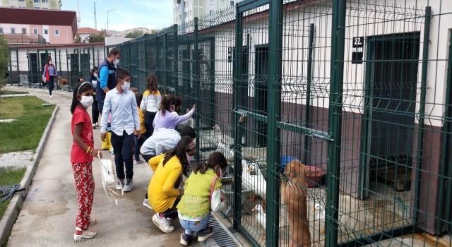 Sokak Hayvanları Gününde hayvan barınağına yoğun ilgi