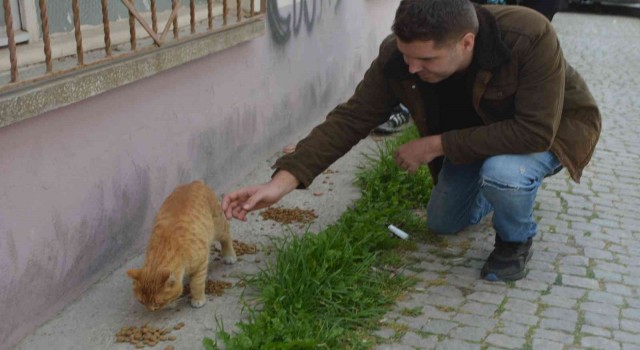 Sokak hayvanlarını beslediler