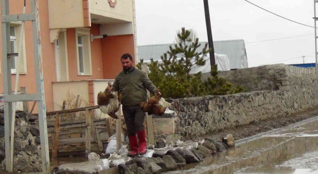 Taşan Kars Çayı tarım arazilerini sular altında bıraktı