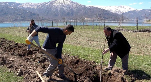 Tatvanda meyve fidanları toprakla buluştu