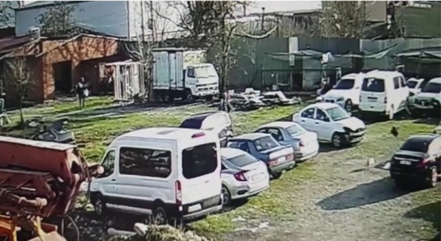 Tavuk kovalayan köpeği sopayla dövdüler