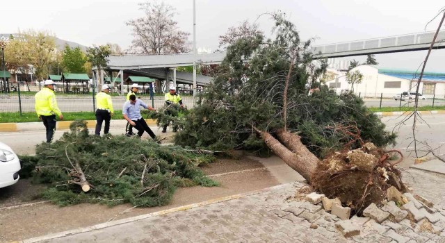 Tokatta fırtına hayatı olumsuz etkiledi