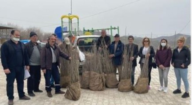 Tuncelide 14 çiftçiye bedelsiz dut fidanı dağıtıldı
