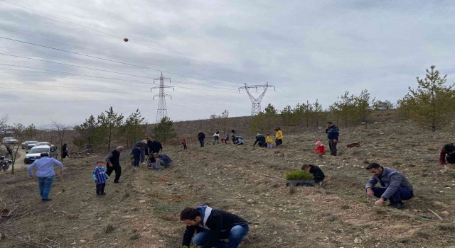 Türkeşin vefatının yıldönümünde fidan dikimi gerçekleştirildi