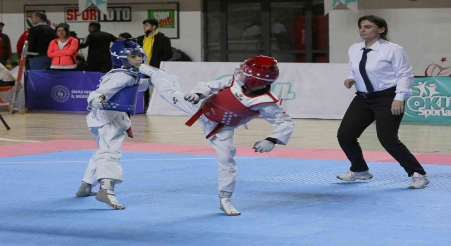 Türkiye Taekwondo Şampiyonası, Sivasta başladı