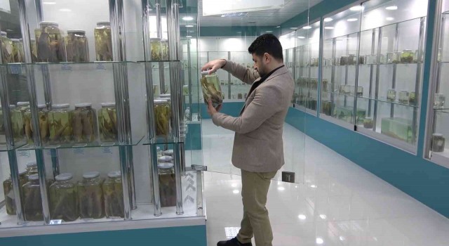 Türkiyenin en zengin balık müzesine yurt dışından yoğun ilgi