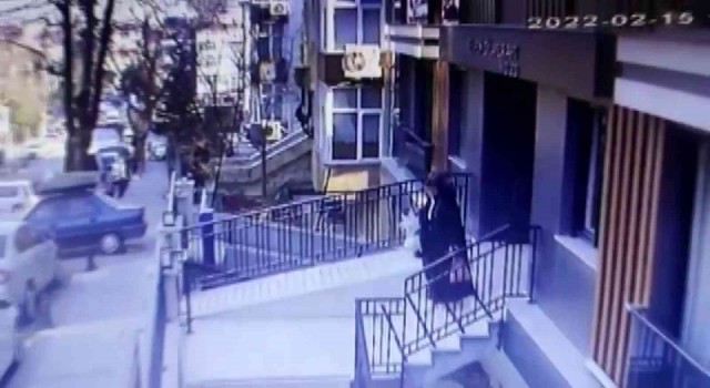Ümraniyede kedi kavgası