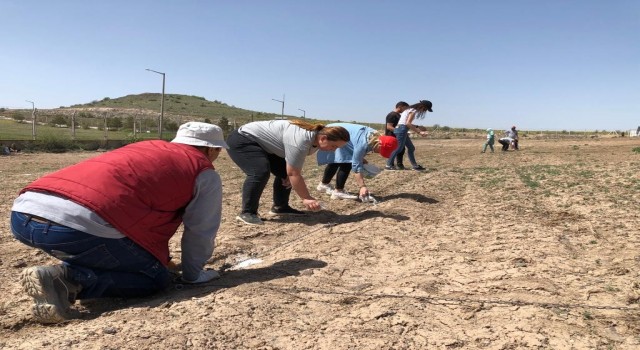 Üzümcülük Araştırma Ve Uygulama Bağına ilk üzüm fidanları dikildi