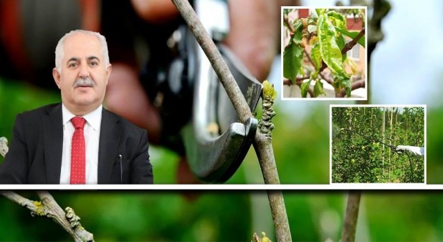 Vanda çiftçilere hastalık ve zararlılara karşı mücadele uyarısı