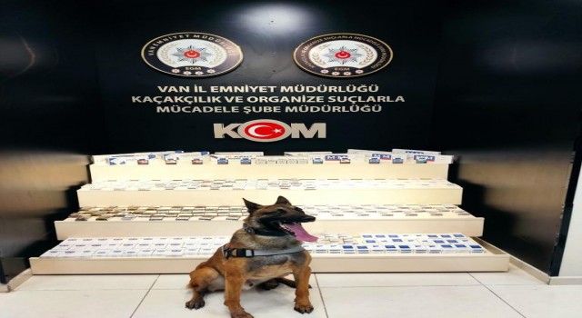 Vanda gümrük kaçakçılığı operasyonu