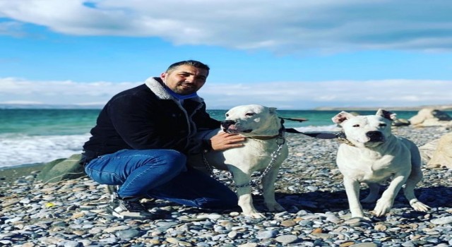 Vanda spor salonu bahçesinden çalınan Dogo Argentino ırkı iki köpek saatler sonra ölü bulundu