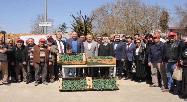 Yalovanın atıl arazileri projelerle tarıma kazandırılıyor