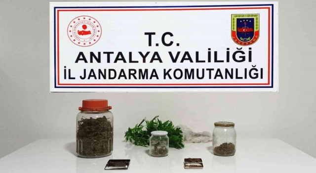 Yasadışı kenevir üretimine jandarma baskını: 1 gözaltı