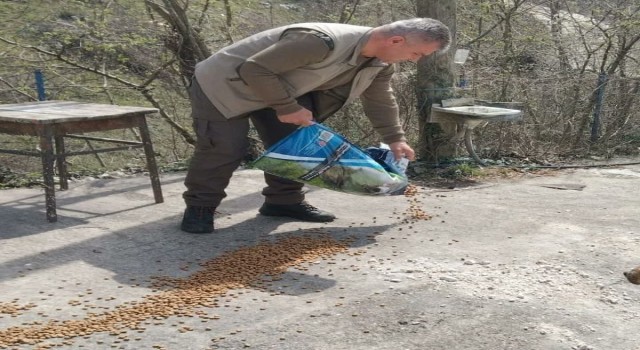 Yığılcada hayvanlar için doğaya mama bırakıldı