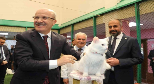 YÖK Başkanı Prof. Dr. Özvar Van kedilerini sevdi