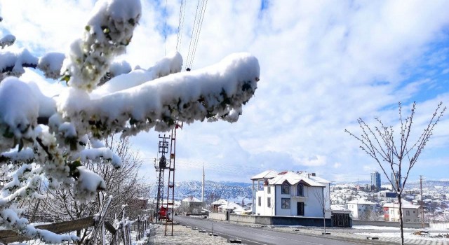 Yozgatta Nisan karı çiçek açan dalları karla kapladı