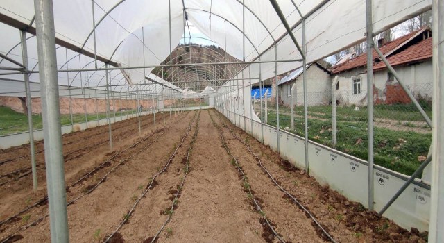 Yozgatta şiddetli rüzgar seralara zarar verdi