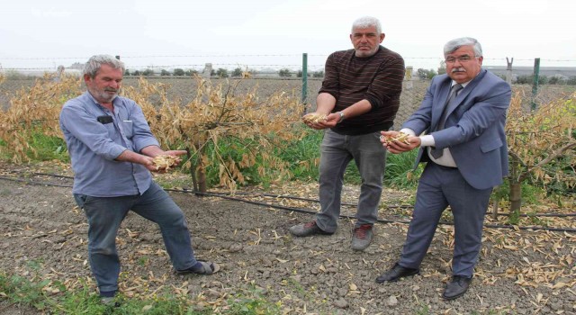 Zirai don Mersini vurdu, sebze-meyveye ulaşmak hayal oldu