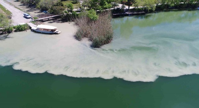 Zirai kanal temizliğinde atıklar Dalyan kanallarına aktı